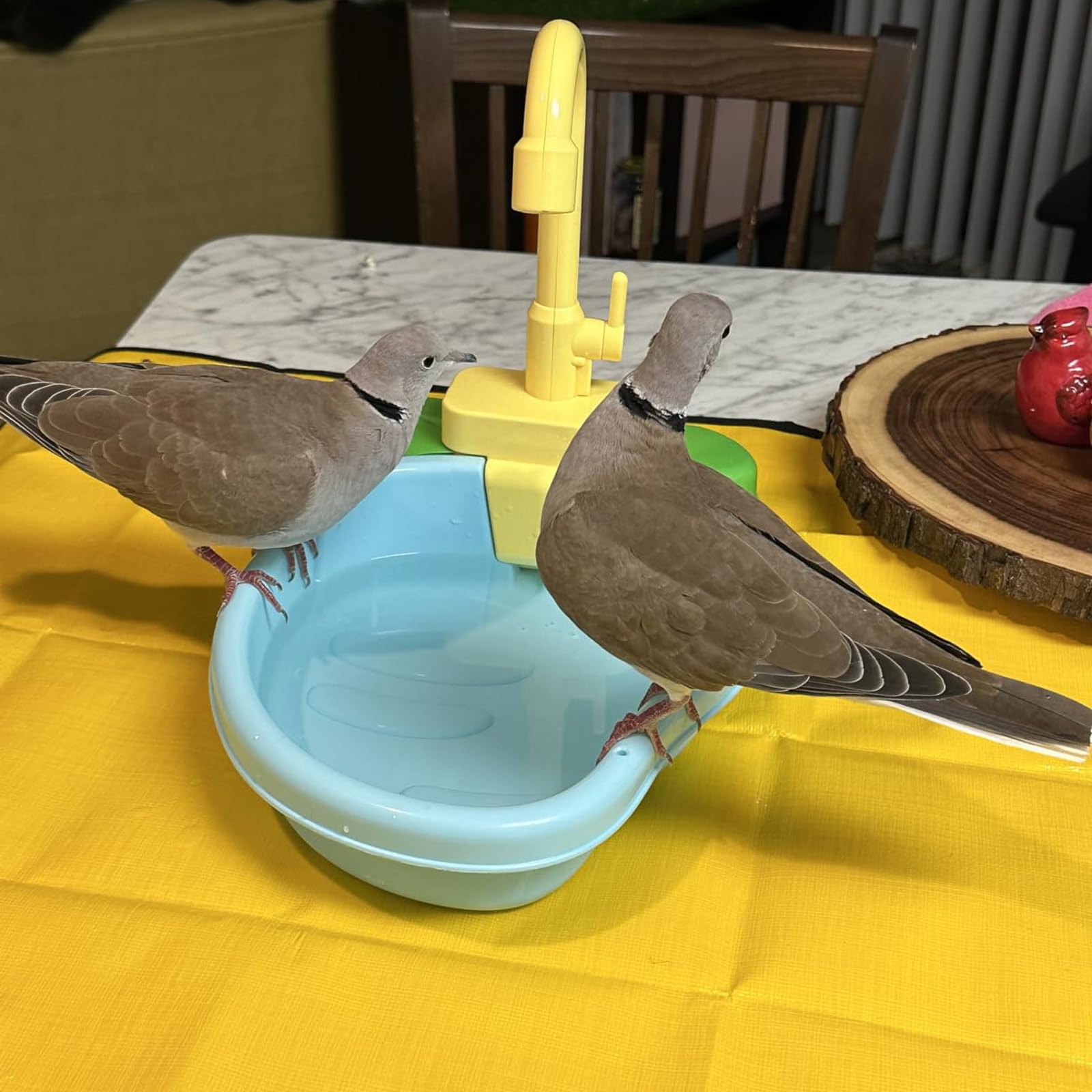 HBYCDSTF Bird Bath for Cage, Automatic Bath for Birds, Parrot Shower Bathtub Outdoor with Faucet, Bird Shower Swimming Pool Toy